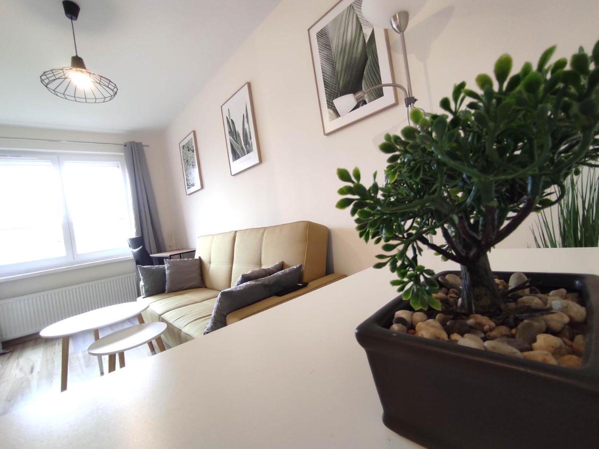 ***Casablanca Apartament*** - 40M² ✓ Rybnik  Luaran gambar